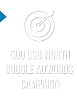   500 USD worth  Google Adwords  campaign