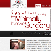 Egyptian Society For Minimally Invasive Surgery